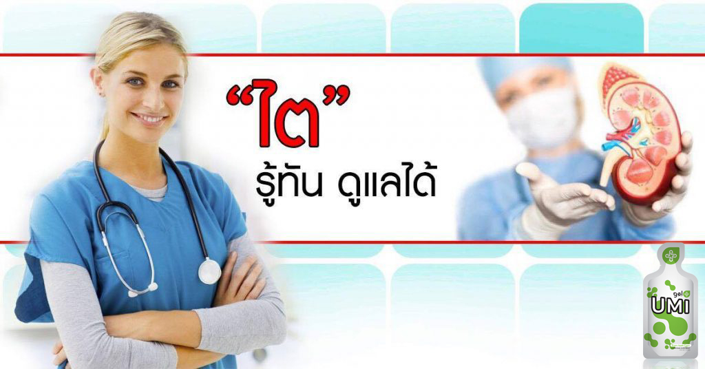 ติดต่อผู้เชี่ยวชาญ